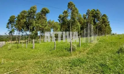 Chácara / sítio com 1 quarto à venda no Centro, Piratininga 