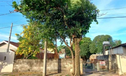 Terreno à venda no Centro, Piratininga 