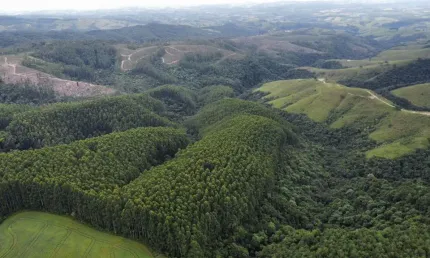 Fazenda à venda na Rua Marcílio Dias, Zona Rural, Reserva