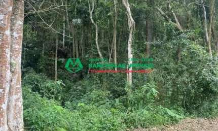Terreno para venda em Jardim Santa Paula de 1943.00m²