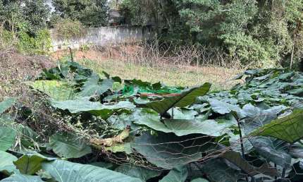 Terreno para venda em Jardim Santa Paula de 1200.00m²