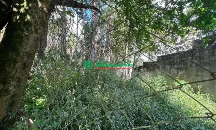 Terreno para venda em jardim dos pereiras (caucaia do alto) de 7150.00m²