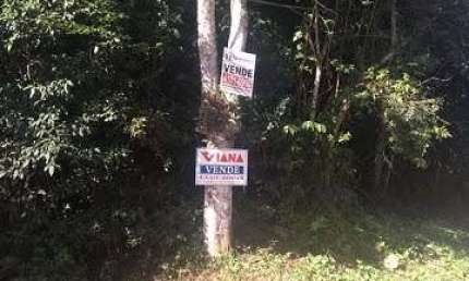 Terreno em Dos Fincos Jd Tupa  -  São Bernardo do Campo
