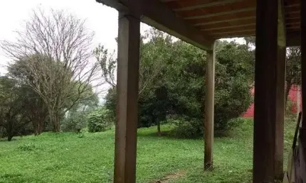 Casa com 3 quartos à venda no Dos Finco, São Bernardo do Campo 