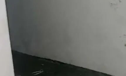 Casa Térrea em Independência  -  São Bernardo do Campo