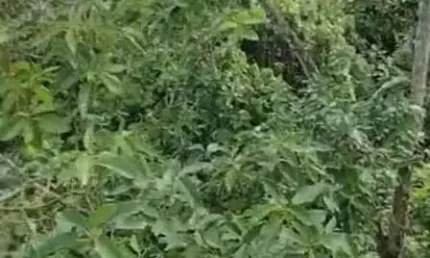 Casa com 2 quartos à venda no Alvarenga, São Bernardo do Campo 