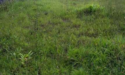 Chácara / sítio à venda no Zanzala, São Bernardo do Campo 