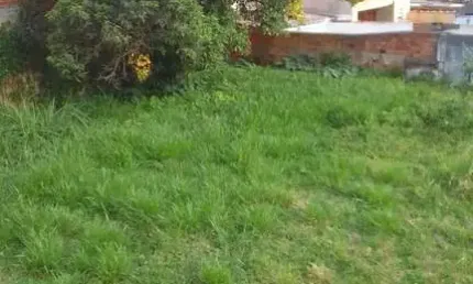 Chácara / sítio para alugar no Centro, São Bernardo do Campo 