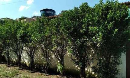 Sobrado em Recreio da Borda do Campo  -  Santo André