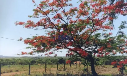 Fazenda à venda na Virgílio Justiniano Ribeiro, 232, Centro, Unaí, 345 m2 por R$ 9.600.000