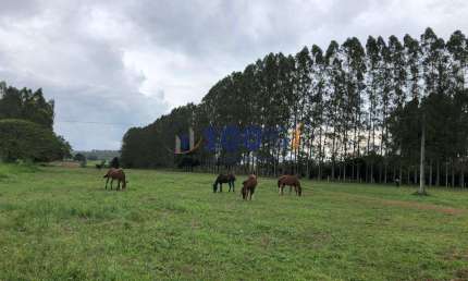 Fazenda à venda na Rural, S/N, Área Rural de Tucuruí, Tucuruí
