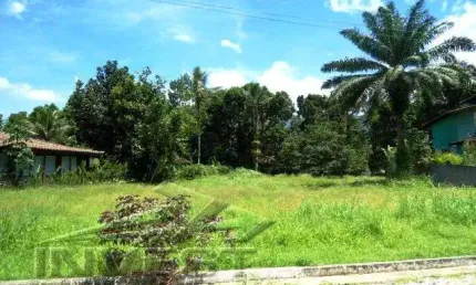 Ubatuba, horto, condomínio park hills - terreno com 1176m2
