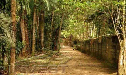 Ubatuba, Praia da Itamambuca Vila - Linda área com 5.000m2, escriturada, ideal para pousada, rua comercial