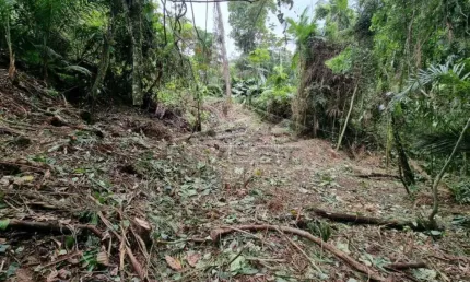 OPORTUNIDADE - Ubatuba, Praia do Félix, Terreno de 1.000m2, com licenciamento e projeto com 200m² aprovados