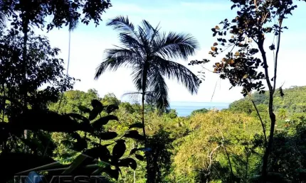 Ubatuba, Praia do Prumirim - Terreno com Liberação e projeto e vista mar, pronto para construir