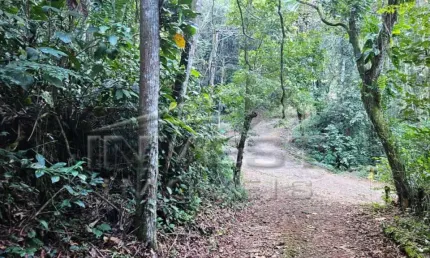 Ubatuba, praia do felix - lote em fase de licenciamento ambiental com 900m2