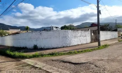Ubatuba, jardim carolina - terreno  com 900 m2, aterrado e murado.