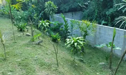 Ubatuba, itamambuca - lote com 546,00 m2, escritura definitiva, liberação ambiental em condomínio segurança 24 hs.