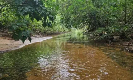 OPORTUNIDADE - Ubatuba, Praia do Felix - Lote frente mar, com 1000m2, sem licenciamento Ambiental