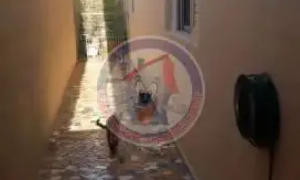 Casa com 2 quartos, Caiçara, Praia Grande - R$ 610 mil, Cod: 7426-6