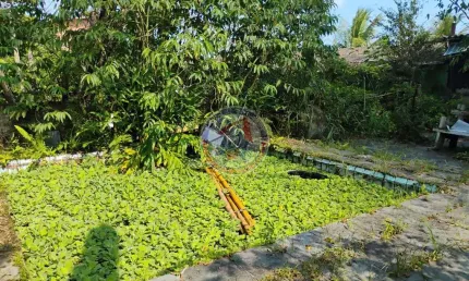 Terreno, balneário jussara, mongaguá - r$ 110 mil, cod: 16408-4