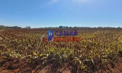 Área rural 6 hectares entrada cidade de indianopolis