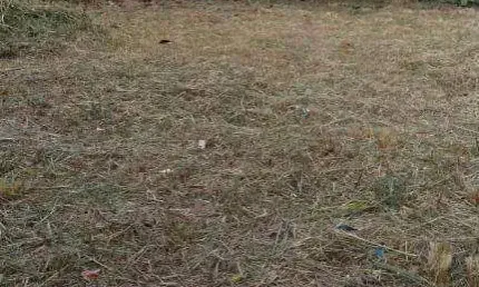 Terreno à venda, 720 m² por R$ 700.000 - Novo Rio Das Ostras - Rio das Ostras/RJ