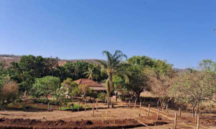 Venda de Sitio com 3 quartos e 19,36 hectares em Tubalina, Uberlândia-MG