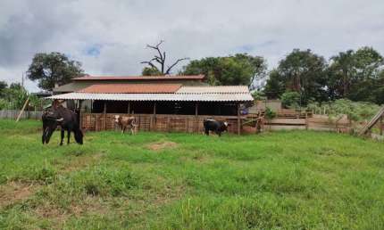 Chácara à venda em Uberlândia-MG: 3 quartos, 1 sala, 2 banheiros na Área Rural de Uberlândia
