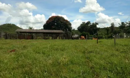 Fazenda de 9,90 alqueires à venda em Uberlândia-MG na Área Rural: oportunidade imperdível!
