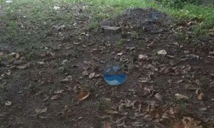 Terreno em condomínio fechado à venda na Rua Padre Gastão de Moraes, Estuário, Santos