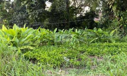 Lote 22,23 24,e,25 da quadra 30 de esquina com av araça