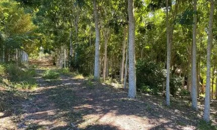 Terreno à venda, 1000 m² por R$ 350.000,00 - Zona Rural - Delfinópolis/MG