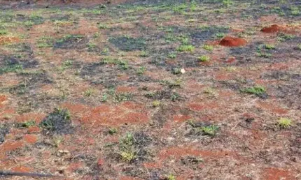 Terreno à venda, 400 m² por R$ 120.000,00 - Condomínio Morada Verde - Ribeirão Preto/SP