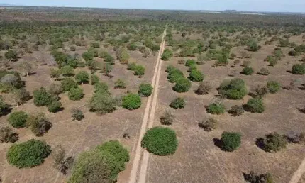 Fazenda à venda, 72600000 m² por R$ 225.000.000,00 - Zona Rural - Porto Nacional/TO