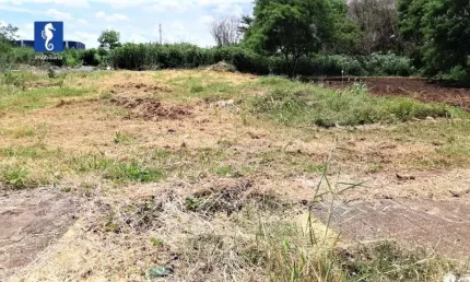 Terreno à venda, 340 m² por r$ 135.000,00 - vila elisa - ribeirão preto/sp