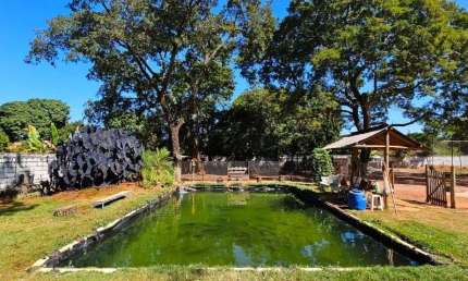 Chácara com 4 dormitórios à venda, 5000 m² por R$ 1.470.000,00 - Itanhangá - Ribeirão Preto/SP
