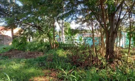 Terreno para alugar, 3000 m² - Ribeirânia - Ribeirão Preto/SP