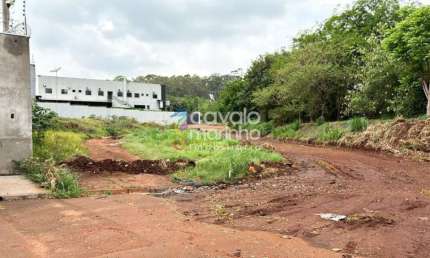 Terreno à venda na Rua Octávio Martins Braga, 1, Residencial Flórida, Ribeirão Preto