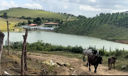 Ffazenda em vitória de santo antão com água abundante