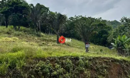Terreno à venda no Ilha da Figueira, Jaraguá do Sul 