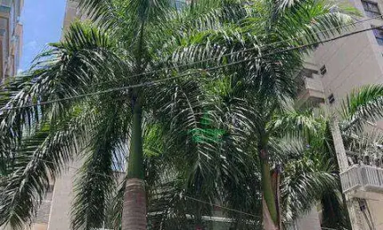 Cobertura com 4 dormitórios à venda, 207 m² - Santa Rosa - Niterói/RJ