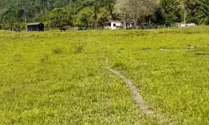 Fazenda com 1 sala à venda na Rodovia BR-101, 890, Centro, Eunápolis