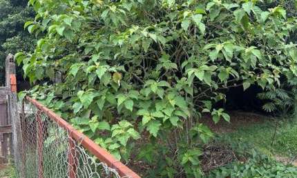 Terreno à venda na Rua Alberto de Salvo, 10, Jardim Santa Genebra II (Barão Geraldo), Campinas