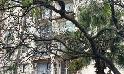Apartamento com 3 quartos à venda na Rua Quirino do Amaral Campos, 7, Vila Estanislau, Campinas