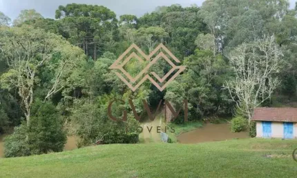 Chácara / sítio com 5 quartos à venda na Área Rural, 101, Zona Rural, São José dos Pinhais