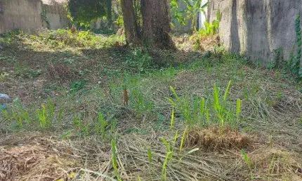 Ocean vende:  Piratininga, terreno 180M², plano, murado, próximo colégio PH.