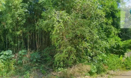 Ocean vende: Itaipuaçu, Itaocaia Valley, terreno 1125M², esquina, com 1 lado murado, RGI/escritura