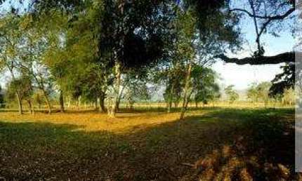 Ocean Vende: Cassorotiba, Terreno, plano, cercado, 24.490m²