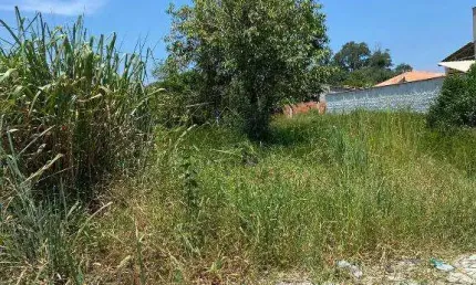 Ocean vende: Itaipuaçu, terreno 476M², plano, rua asfaltada, escritura/ RGI, água CEDAE.